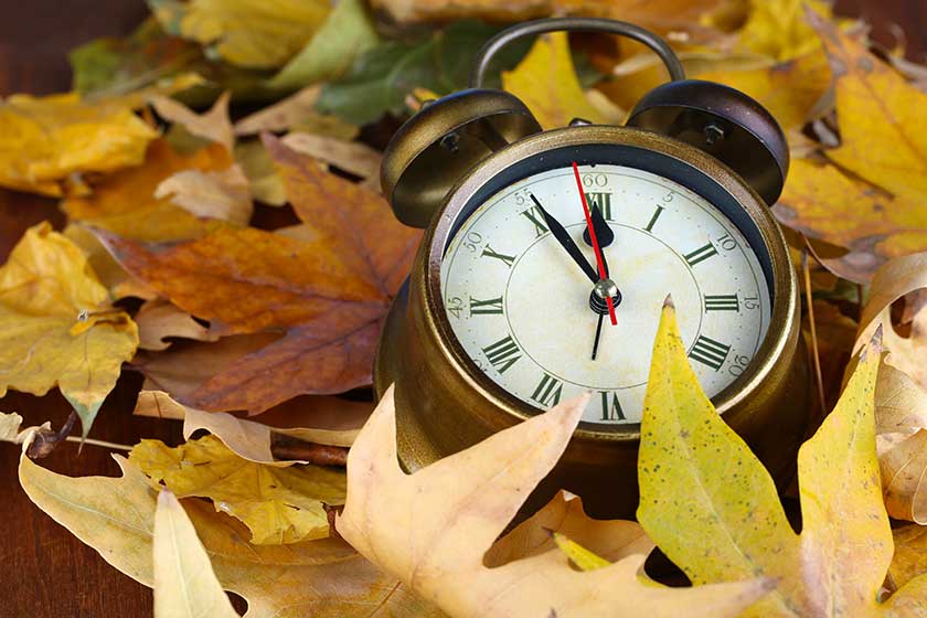 Vintage alarm clock surrounded by colourful autumn leaves