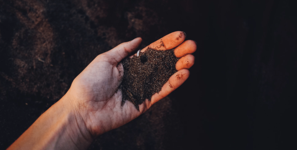 Image of hand holding compost